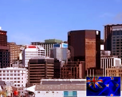 New Zealand Dollar Remains Firm 7