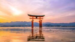 Oanda Japan Targets Phishing With Passkeys Following Planned Web-Based Metatrader Exit Japan2C20Image20Source2028Shutterstock29 Id 803Ca5Ef 1Be9 4D2B 936B 173127Cf62D2 Size900