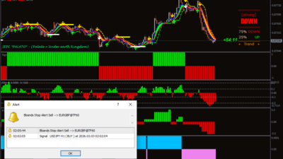 Sefc Trading System