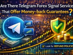 Telegram Forex Signals With Moneyback Guarantees