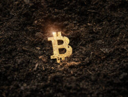 Bitcoin On The Brink Of A Knockdown