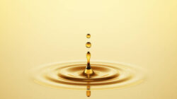 Gold Consolidates After Friday’s 3.2% Drop, Sparked By Hawkish Comments From Fed Warsh 5 Gold Consolidates After Friday’s 3.2% Drop, Sparked By Hawkish Comments From Fed Warsh F Gold112