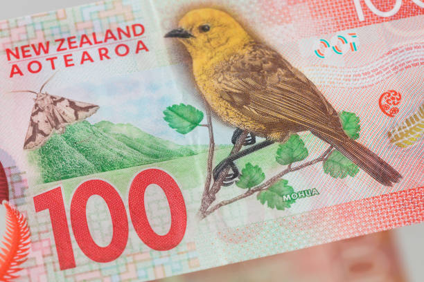 Nzd/Usd: Rbnz Decision Strengthens Expectations Of Further Rate Hikes F Nzd57