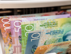 Review Of Rbnz: Waiting For Evidence