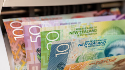 Review Of Rbnz: Waiting For Evidence
