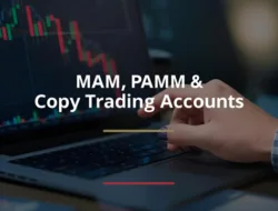 Mam Vs Copy Trading Vs Pamm [Year, Month]