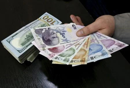 Turkey’s Central Bank Forex Reserves Fall To Five-Year Low Lynxmpeb3F0Tt M