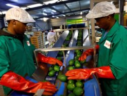 Analysis-China’s African Tariff Removals, Trade Surge Spur Yuan Adoption