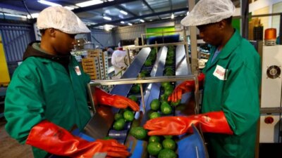 Analysis-China’s African Tariff Removals, Trade Surge Spur Yuan Adoption Lynxmpem5H0H8 L