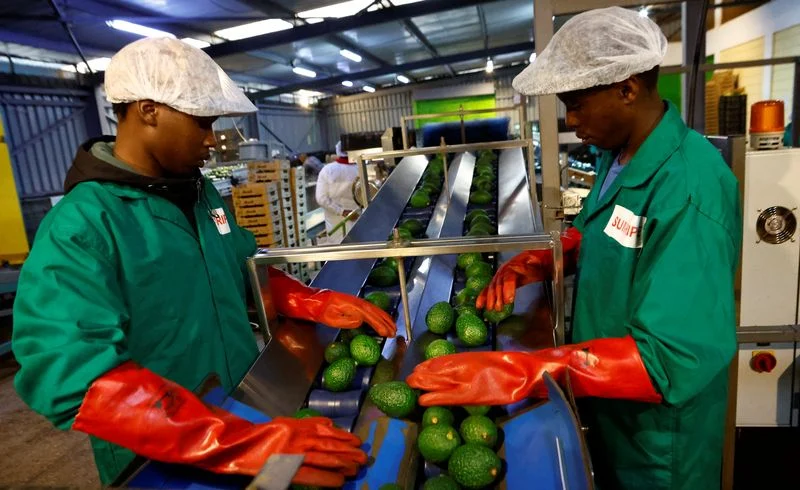 Analysis-China’s African Tariff Removals, Trade Surge Spur Yuan Adoption Lynxmpem5H0H8 L