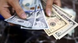 Canadian Dollar Falls To 14-Month Low On Fed Rate Outlook