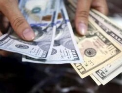 Canadian Dollar Falls To 14-Month Low On Fed Rate Outlook