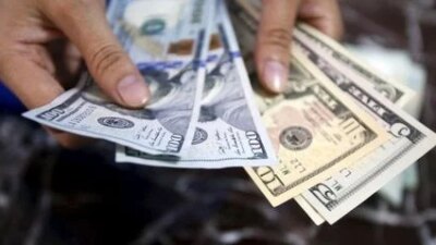 Canadian Dollar Falls To 14-Month Low On Fed Rate Outlook 10 Canadian Dollar Falls To 14-Month Low On Fed Rate Outlook Lynxnpeb960O0 M