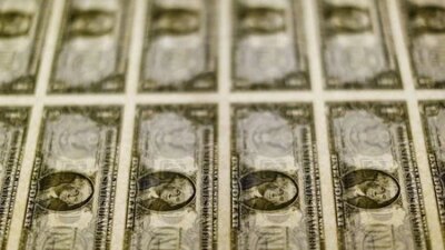 Morgan Stanley Sees Us Dollar Weakening As Fed Holds Rates Lynxnpec2T1Kl M