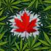 Canada’S Trade Surplus Widened In April