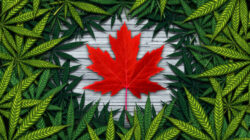 Canada'S Trade Surplus Widened In April F Canada25
