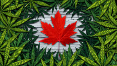 Canada'S Trade Surplus Widened In April F Canada25