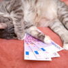 Eur/Usd On Edge As Markets Await Key Employment Data