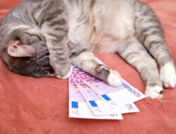 Eur/Usd On Edge As Markets Await Key Employment Data