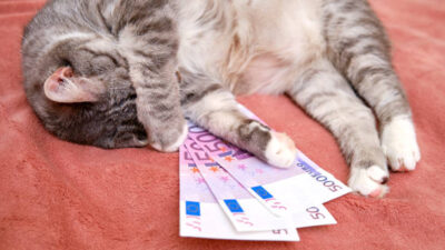 Eur/Usd On Edge As Markets Await Key Employment Data
