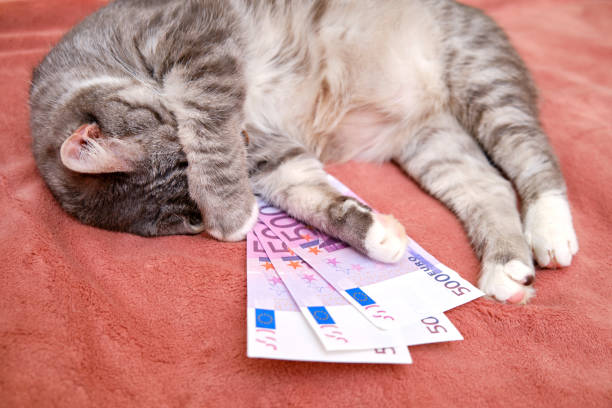Eur/Usd On Edge As Markets Await Key Employment Data F Eur133