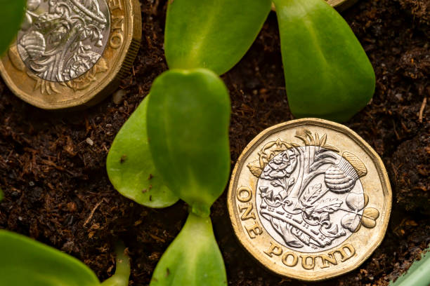 Cable Remains Constructive Ahead Uk Cpi Data, Boe Policy Meeting F Gbp188