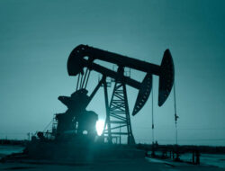 Oil Shocks Are Not What They Used To Be. Prices May Have Further To Fall