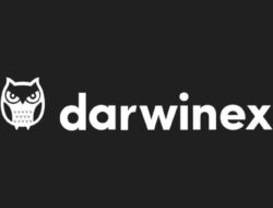 Darwinex Taps Tradingview’s 100M User Base To Scale Investor Marketplace