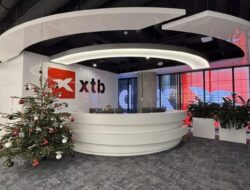 Investment Products Bring Clients To Xtb, But Cfds Generate 96% Of Trading Result