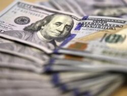 Bofa Sees Hong Kong Dollar Rates Spike Risk On Fed Hikes