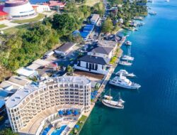 Compliance Specialist At Exness Becomes Vanuatu’s Stablecoin Commissioner