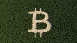 Bitcoin Looks Vulnerable As Downside Risks Continue To Mount F Bitcoin22