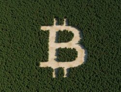 Bitcoin Looks Vulnerable As Downside Risks Continue To Mount