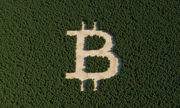 Bitcoin Looks Vulnerable As Downside Risks Continue To Mount F Bitcoin22