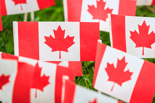 The Weekly Bottom Line: Gdp Fireworks Ahead Of Canada Day F Canada6