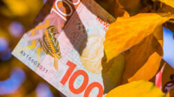First Impressions: Nzier Quarterly Survey Of Business Opinion, June Quarter 2026 F Nzd59