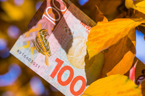 First Impressions: Nzier Quarterly Survey Of Business Opinion, June Quarter 2026 F Nzd59