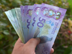 Rbnz July 2026 Monetary Policy Review: Dovish Hike?