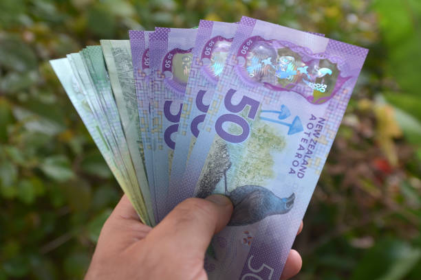 Rbnz July 2026 Monetary Policy Review: Dovish Hike? F Nzd62