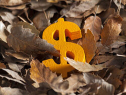 Usd/Jpy And Usd/Cad Test Resistance Ahead Of Fresh Fed Signals
