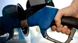 Gasoline Snaps Three-Session Slide | Forex News 2026.08.26 (En)