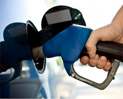 Gasoline Holds Near Two-Week High 13
