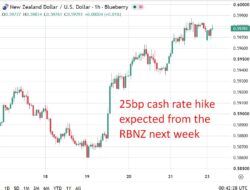 Nz Main Opposition Party Pledges To Restore Rbnz Dual Mandate On Employment If Elected