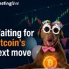 Is Bitcoin At $77K Preparing For Another Breakout? This Btcusd Analysis Shows A A Potential Bull Flag Pointing To $84K-$86K