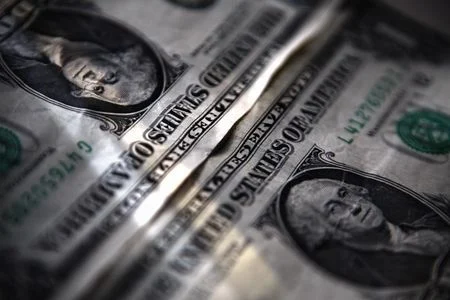 Argentina To Ease Dollar Lending Rules For Banks Lynxmpea5T0Dn M