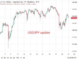 Japan July Core Cpi 1.8%  Y/Y (Expected 1.8%)