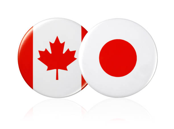 Cadjpy Wave Analysis - Actionforex F Cad Jpy2