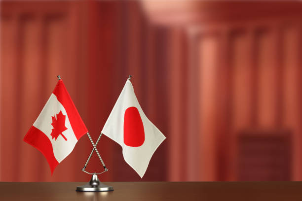 Cadjpy Wave Analysis - Actionforex F Cad Jpy3