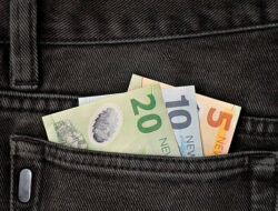 First Impressions: Nz Labour Market Surveys, June Quarter 2026