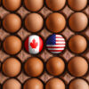 Trade Deadline Looms After Canada’s Inflation Data For July